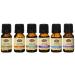 Basic Set 6-10ml 100% Pure Essential Oil (Eucalyptus Lavender Peppermint Rosemary Sweet Orange and Tea Tree)