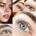 PERMANIA Rich Black Eyelash & Brow Color Kit - Professional Eyebrow Coloring for Natural Makeup at Home - Buy Online on SooperMarket.com