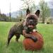 EXCELLENT ELITE SPANKER Tactical Military Dog Saddle Bag Harness Saddlebag Backpack for Medium Large Dogs(Brown L) L Brown - Buy Online on SooperMarket.com