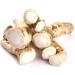 Buy Fresh Horseradish - 2nd Class for Horses (500g) | International Shipping Available - Buy Online on SooperMarket.com