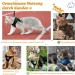 Supet Cat Dishes: Soft Yellow Cat Vest for Kittens & Small Dogs (M 33-38 cm) | International Shipping - Buy Online on SooperMarket.com