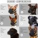BONTHEE Dog Muzzle Mesh Soft Muzzle for Small Medium Large Sized Dogs Breathable Reflective Adjustable Puppy Muzzles with Collar for Scavenging Grooming Biting Chewing Allows Panting and Drinking XXL - Buy Online on SooperMarket.com