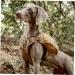 OneTigris CAMELUS Dog Backpack - Tear-Proof Camping & Hiking Pack for M/L Size Dogs in Coyote Brown - Buy Online on SooperMarket.com