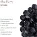 Blackthorn Dried Berries Organic Quality - Sloe Berries - Sherrys Berries 200g - Buy Online on SooperMarket.com