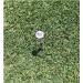 American Flag Wood Golf Tees - 2 3/4 inch - 100 Pack - USA Golf Tees - Red White and Blue - Custom Design - Buy Online on SooperMarket.com