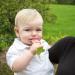 Innobaby Award-Winning Teethin Smart EZ Grip Fruit Teether - BPA Free Teether for Babies & Toddlers - Grape/Citrus/Berry - Buy Online on SooperMarket.com