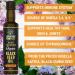 Organic Black Seed Oil 250ml - 100% Pure Cold Pressed Nigella Sativa Seed Oil - Buy Online on SooperMarket.com