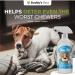 Buddy's Best Anti Chew Spray for Puppies & Dogs | Stop Chewing Training Spray | Deters Chewing & Biting | Fast-Acting & Safe Remedy | 250ml - Buy Online on SooperMarket.com