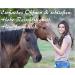 Stylish Blue Lead Rope for Horse Pony Donkey & Goat - Durable Tie Rope in Various Designs | International Shipping Available - Buy Online on SooperMarket.com