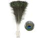 Soarer Long Peacock Feathers Bulk- 25pcs 32-35 inches Feathers for Vase  Holiday Decoration and DIY Crafts