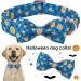 Shop Aring Pet Halloween Dog Halison - Adjustable Cotton Plaid Pumpkin Band for All Dog Sizes | Perfect Halloween Accessory - Buy Online on SooperMarket.com
