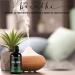 Fiora Naturals Tea Tree Essential Oil 1 oz - 100% Pure Organic Melaleuca Alternifolia for Face, Hair, Skin, Acne, Scalp, Foot, and Toenails - Buy Online on SooperMarket.com