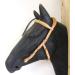 PS Horse Articles Anatomic Bridle Arrimar - Bitless & Snaffle Headpiece for Cob - Cognac-Hazelnut Color | International Shipping - Buy Online on SooperMarket.com