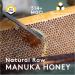 New Zealand Honey Co. Raw Manuka Honey UMF 15+ | MGO 514+ | 8.8oz Jar â€“ Authentic UMF Certified - Buy Online on SooperMarket.com