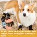 2 Pairs Anti Slip Dog Socks Paws Stop Licking Dog Cat Paw Protectors with Waterproof Rubber Bottom and Adjustable Straps Dog Claw Socks for Puppy Dog Indoor Outdoor Hardwood Floor Walking (M) - Buy Online on SooperMarket.com