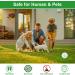 12 Pack Natural Peppermint Oil Rodent Repellent Balls - Safe Pest Control for Mice, Rats, Roaches, Moles, Squirrels, Ants, Moths - Indoor & Outdoor Use - Pet & Kid Safe - Buy Online on SooperMarket.com