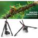 NEEWER 72 Camera Tripod Monopod with Ball Head, Arca Type QR Plate, Bag - Max Load 33lb - Buy Online on SooperMarket.com