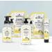 J.R. Watkins Lemon Hand Soap 11 Fl Oz 3 Pack - Moisturizing, Alcohol-Free, Cruelty-Free - USA Made Liquid Soap for Bathroom/Kitchen with Dispenser - Buy Online on SooperMarket.com
