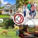 Qcwwy Stainless Steel Dog Anchor | 360 Rotatable Rust-Free 5m Cable for Large Dogs | Durable Pet Anxiety Solution for Courtyard Lawn & Outdoor Camping - Buy Online on SooperMarket.com