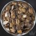 Buy Bremer Gew rzhandel Styrian Pumpkin Seeds - 250g | Medicinal & Crunchy Pumpkin Seeds from Styria Perfect for Snacking & Cooking - Buy Online on SooperMarket.com