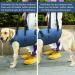 COODEO Dog Harness - Adjustable Lifting Belt for Support & Rehabilitation | Padded Breathable Straps for Old & Disabled Pets | Size M Blue - Buy Online on SooperMarket.com