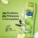 Suave Essentials Gentle Body Wash - Juicy Green Apple & Vitamin E | 18 oz - Nourishing Fruit Oil Blend for Smooth Skin | Ship Internationally - Buy Online on SooperMarket.com