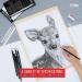 Galart Supplies Charcoal Drawing Set - 12 Piece Pre-Sharpened Pencils for Artists and Beginners | Soft, Medium, Hard, and White Charcoal Pencils for Drawing, Shading, and Sketching with Organizer Tray - Buy Online on SooperMarket.com