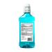 Solimo Tartar Control Plus Antiseptic Mouth Rinse 1L - Iceberg Blue Mint | Pack of 1 - Buy Online on SooperMarket.com