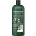 TRESemm Botanique Nourish & Replenish Shampoo for dry hair + Coconut Extract formulated with Pro Style Technology 828 ml Botanique Nourish Shampoo 828 ml (Pack of 1) - Buy Online on SooperMarket.com