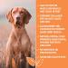 Pigs Ears Strips For Dogs Delicious Tasting Air Dried 500g - High in Protein Aids Muscle and Tissue Repair Contains Collagen for Healthy Coats and Skin. - Buy Online on SooperMarket.com