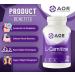 AOR - L-Carnitine 500mg 120 Capsules Pure L-Carnitine Tartrate Supports Energy Metabolism Muscle Recovery & Athletic Performance Promotes Fitness Goals L-Carnitine Capsules for Active Lifestyle - Buy Online on SooperMarket.com