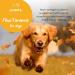 Flexi-Turmeric For Dogs | Healthspan | 120 Tablets | Vitamin C & Brewers Yeast | 400mg High-Grade Turmeric | Pet Health - Buy Online on SooperMarket.com