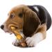 Nylabone Chew Toy for Extreme Chewers - Beef & Cheese Flavor Textured Bone | International Shipping Available - Buy Online on SooperMarket.com