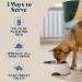 Goats Milk Powder for Dogs & Cats | Create Delicious Goats Milk | Each Pack Makes 6 Pints - Buy Online on SooperMarket.com