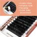 Dassen Easy Fan Volume Lashes 0.07 DD Curl - Mix8-15 | Long Lasting 2D to 10D Blooming Lashes - Buy Online on SooperMarket.com