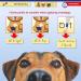 Protectaplast Self-Adhesive Blue Bandage for Pets (7.5cm x 4.5m) - Latex-Free Glue-Free Dressing for Dogs Cats & Horses | Ideal for Wounds & Joints - Buy Online on SooperMarket.com