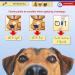 Protectaplast Self-Adhesive Blue Bandage for Pets | Latex-Free & Glue-Free 6cm x 2m | Ideal for Dogs Cats & Horses - Wound & Joint Dressing - Buy Online on SooperMarket.com
