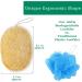 4 Pack 100% Natural Loofah Exfoliating Sponges - Organic Bath Scrubber Set - Buy Online on SooperMarket.com