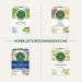 Traditional Medicinals - Organic Chamomile with Lavender Herbal Tea (Pack of 6) - Soothing blend containing Lemon Balm - 96 Tea Bags Total Tea Chamomile with Lavender 16 Count (Pack of 6) - Buy Online on SooperMarket.com