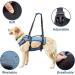 COODEO Dog Lifting Harness - Adjustable Breathable Support for Rehabilitation | Ideal for Old & Disabled Pets - Blue - International Shipping - Buy Online on SooperMarket.com