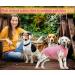 Cool Combed Cotton Dog Shirt for Medium-Sized Dogs | Sychien Striped Pink & Gray T-Shirt for French Bulldogs - Buy Online on SooperMarket.com
