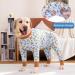 Yeapeeto Dog Recovery Suit 5XL Bear - Soft Neuter Shirt Cone Alternative for Large/Medium Dogs - Prevent Licking & Shedding - Surgical Onesie After Surgery - Buy Online on SooperMarket.com