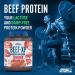 Applied Nutrition Beef XP - Hydrolysed Beef Protein Isolate Powder 1.8kg (Orange & Mango) - Buy Online on SooperMarket.com