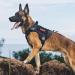 Tactical Dog Harness Vest Military Dog Harness for Large Medium Dogs No-Pull Service Dog Vest with Hook & Loop Panels Adjustable Dog Vest Harness for Walking Hiking Training(Black Medium) M Black - Buy Online on SooperMarket.com