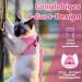Supet Cat Dishes & Breaking-Safe Leash - Soft Vest for Kittens & Small Dogs (Chihuahua) - Pink Size L (Chest 38-43 cm) - Buy Online on SooperMarket.com