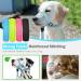 Weesiber Soft Dog Collar - Adjustable Padded Halter with Reflective Safety Strips for Small Dogs | No Pulling Perfect for Training & Walking (Blue) - Buy Online on SooperMarket.com