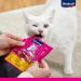 Vita Power Cat Stick Classic - Fleshy Cod & Pollock Cat Treats Sugar-Free Storage Size (10x6 pcs 36g) - Buy Now! - Buy Online on SooperMarket.com