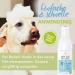 Itching Shampoo for Dogs - 100% Natural Cedar Oil & Lavender - Soothes Itching & Mites - 200ml Anti-Itch Formula - Buy Online on SooperMarket.com