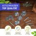 Buy Pack of 5 Stainless Steel Branch Screws for DIY Bird Toys & Perches | Secure Cage Fastening - Buy Online on SooperMarket.com