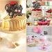 POFIBO 28 Pieces Graduation Cake Toppers Graduation Cake Toppers Cupcake Toppers Graduation Gadget Decorations - Buy Online on SooperMarket.com